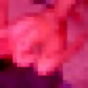 Aurore, 29 ans, cherche un rencontre sexe à Ventabren