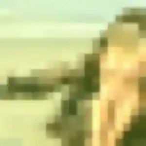 Photo sexy de Nelly, 31 ans à Vern-sur-Seiche - rencontre sans lendemain