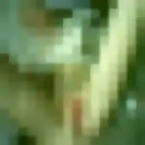 Albertine, 25 ans, cherche un rencontre sexe à Vic-le-Comte