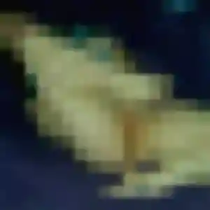 Photo privée de Melanie, 45 ans à Vienne - plan discret