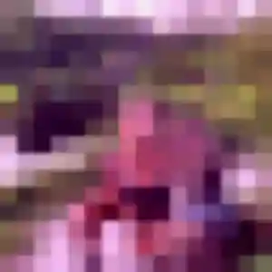 Sara, 41 ans, connectée à Vieux-Habitants pour un rencontre sexe