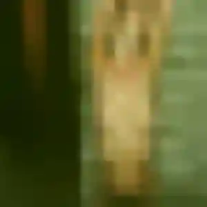 Doriane, femme de 30 ans propose rencontre sexe à Villemandeur