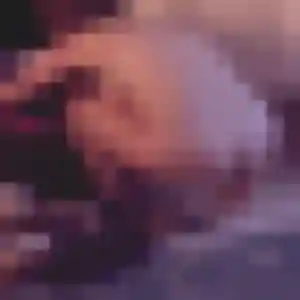 Photo sexy de Djamila, 24 ans à Wasquehal - plan discret