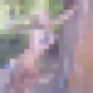 Sabrina, 39 ans, en ligne à Wasquehal pour une rencontre coquine
