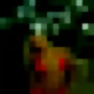Profil de Ornella à Wattrelos (45 ans) - rencontre sexe anonyme