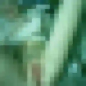 Photo de Clemence à Wervicq-Sud (41 ans) - rencontre sexe gratuit